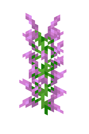 Lilas Minecraft