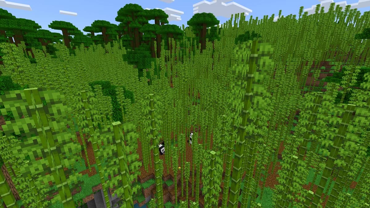 Jungle de bambous dans Minecraft