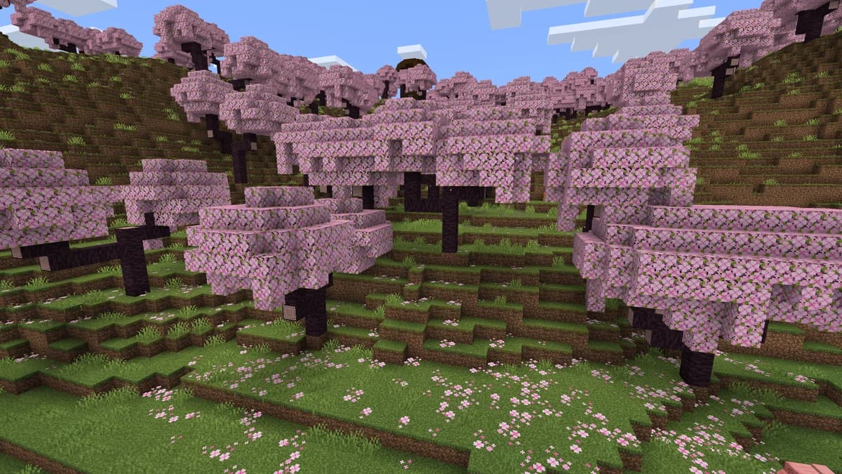 Bosquet de cerisiers dans Minecraft