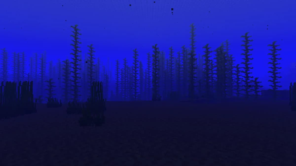 Océan froid dans Minecraft