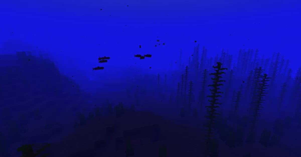 Océan froid profond dans Minecraft
