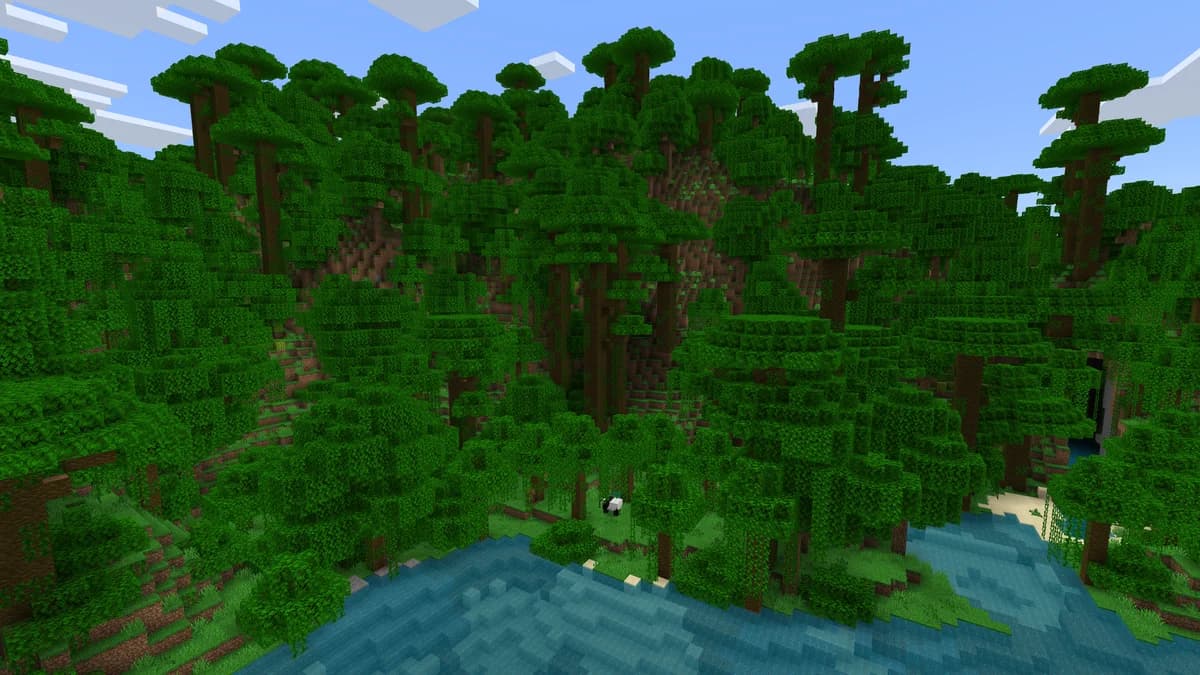 Jungle dans Minecraft