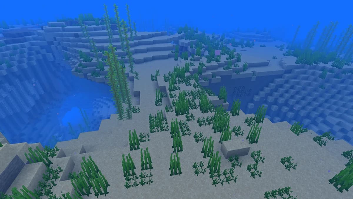 Océan tiède dans Minecraft