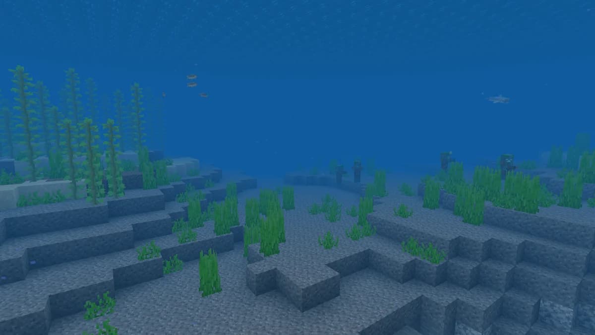 Océan dans Minecraft