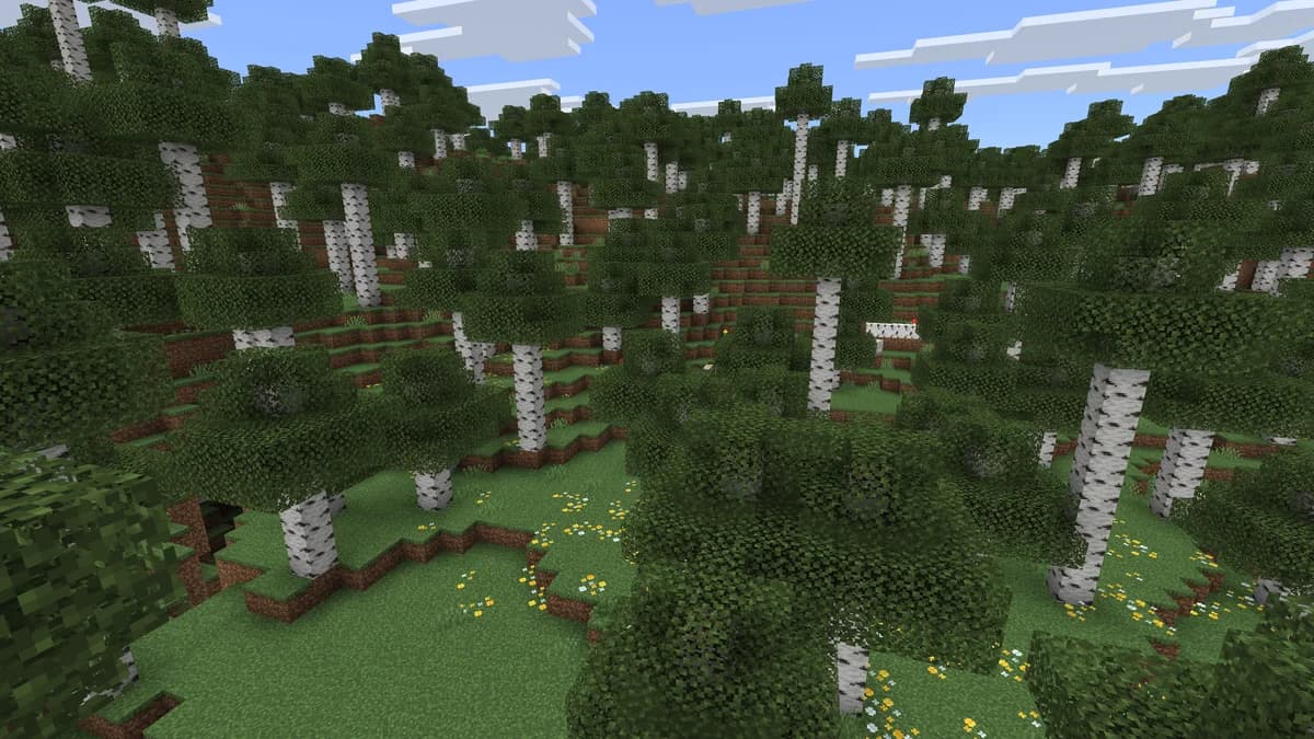 Forêt ancienne de bouleaux dans Minecraft
