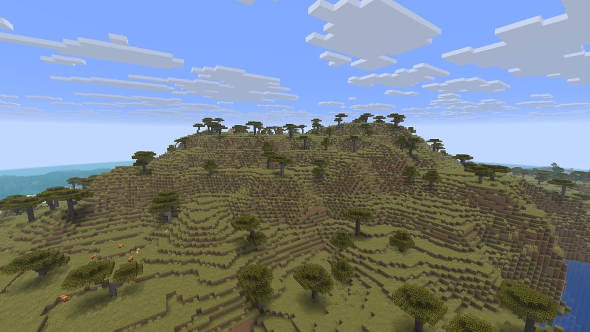 Plateau de savane dans Minecraft