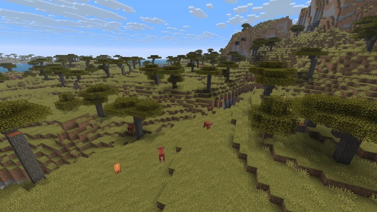 Savane dans Minecraft