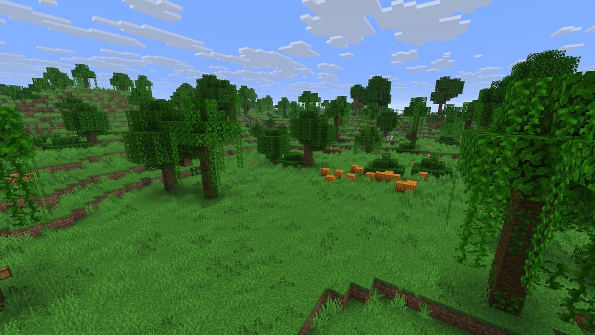 Jungle clairsemée dans Minecraft