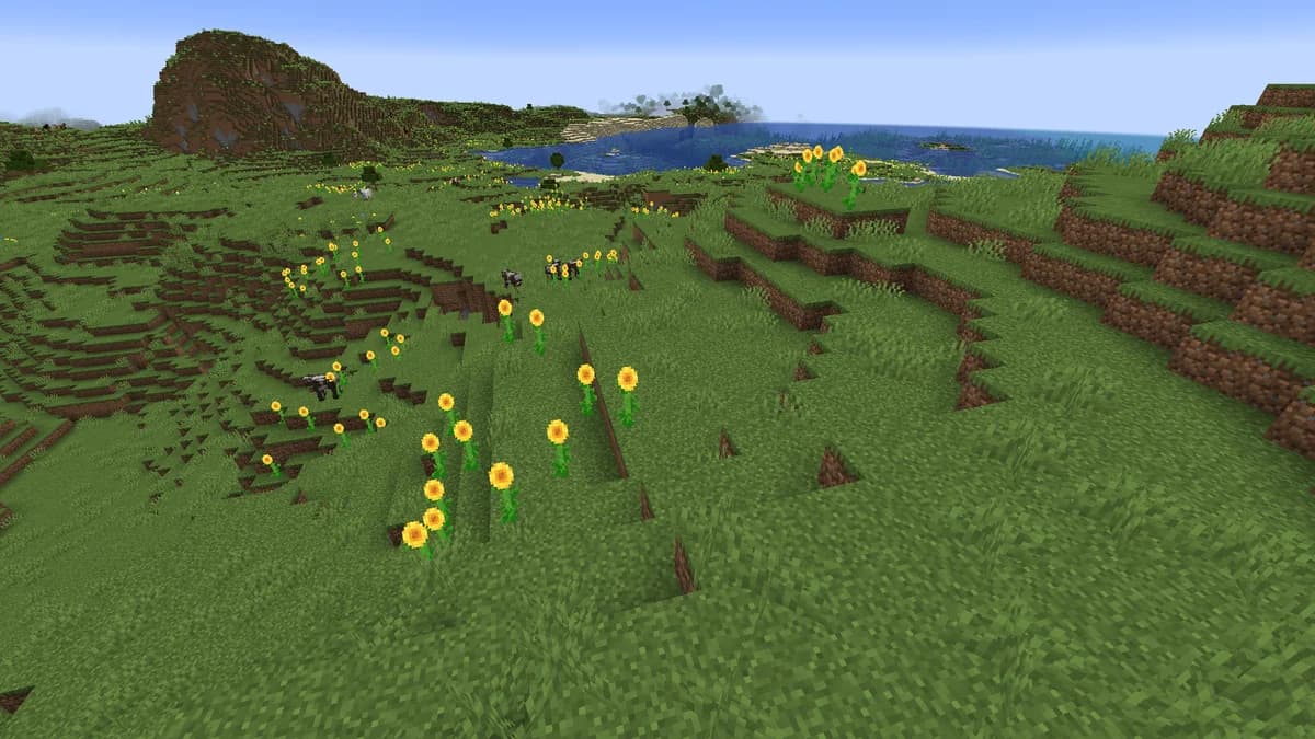 Plaines de tournesols dans Minecraft