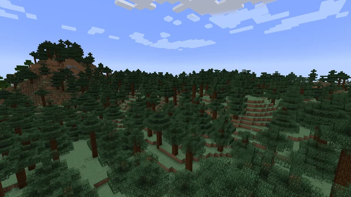 Taïga dans Minecraft