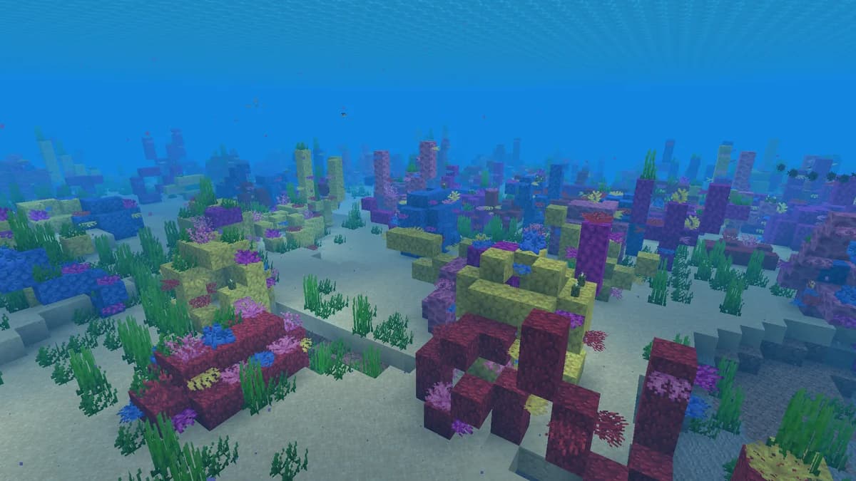 Océan chaud dans Minecraft