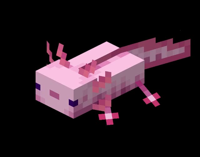 Axolotl dans Minecraft
