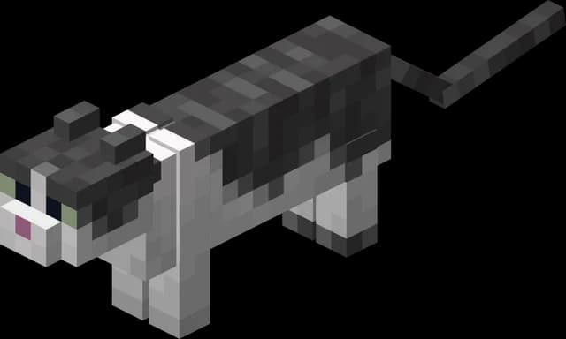 Chat dans Minecraft