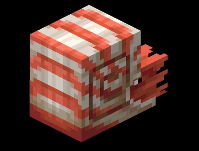 Nautile dans Minecraft