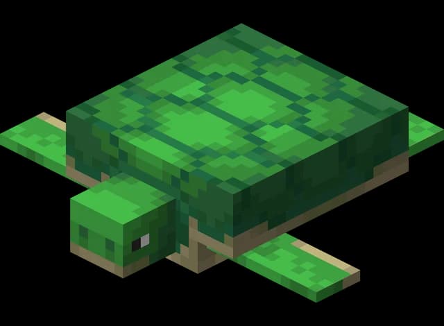 Tortue dans Minecraft