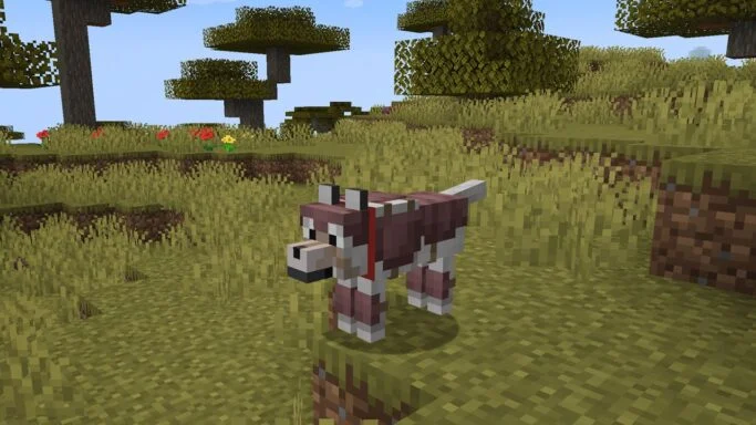 Armure de loup Minecraft 1.21
