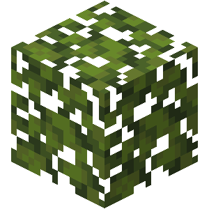 Feuilles d’azalée Minecraft