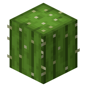 Cactus Minecraft