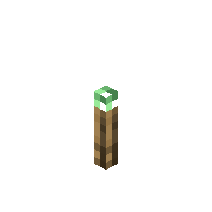 Torche de cuivre Minecraft