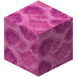 Bloc de corail cerveau Minecraft