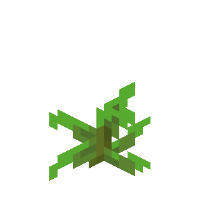 Algue Minecraft