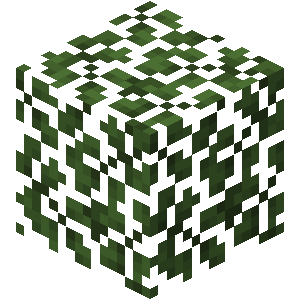 Feuilles d’acacia Minecraft