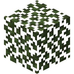 Feuilles de bouleau Minecraft