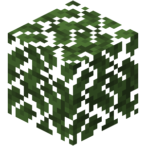 Feuilles de chêne noir Minecraft