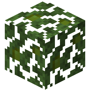 Feuilles d’acajou Minecraft