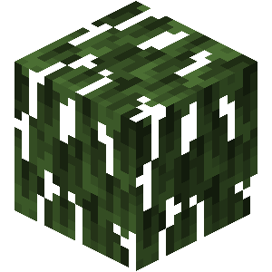 Feuilles de palétuvier Minecraft