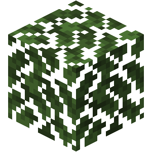 Feuilles de chêne Minecraft