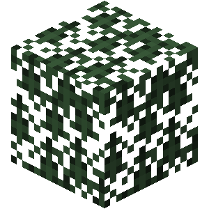 Feuilles de sapin Minecraft