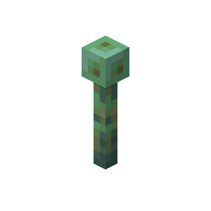 Paratonnerre érodé Minecraft