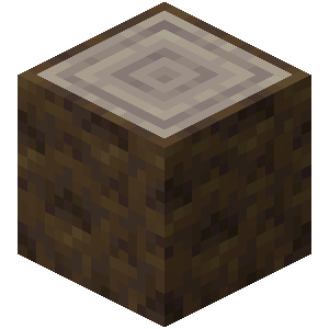 Bûche de peuplier Minecraft