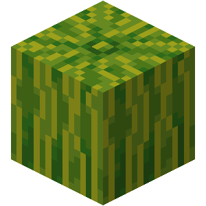 Pastèque Minecraft