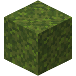 Bloc de mousse Minecraft