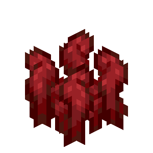 Verrues du Nether Minecraft