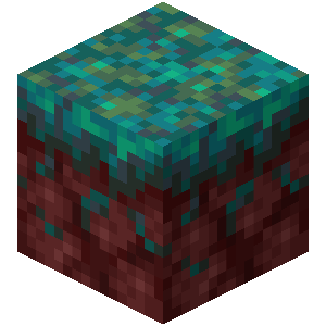 Nylium biscornu Minecraft