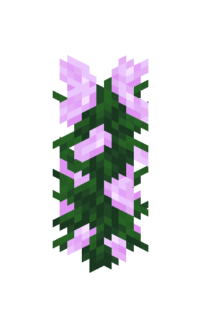 Pivoine Minecraft