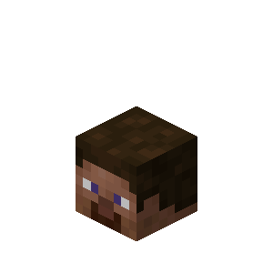 Tête de joueur Minecraft