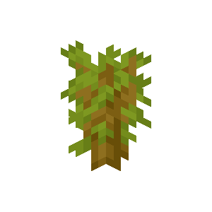 Pousse d’acacia Minecraft