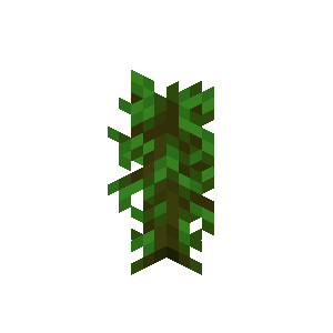 Pousse d’acajou Minecraft