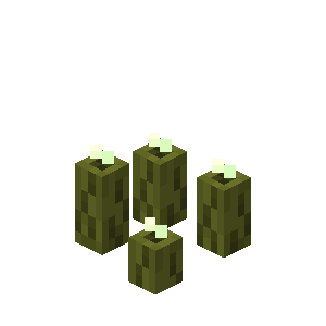 Colonie de quatre cornichons de mer Minecraft
