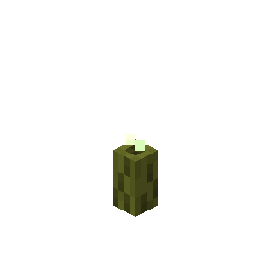 Cornichon de mer Minecraft