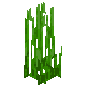 Herbe aquatique haute Minecraft