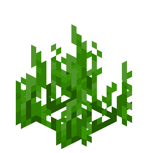 Herbe aquatique Minecraft