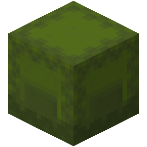 Boîte de Shulker verte Minecraft