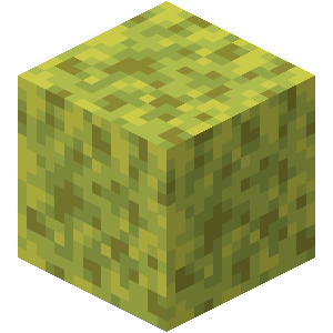 Éponge mouillée Minecraft