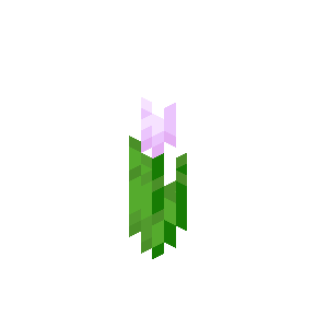 Tulipe rose Minecraft
