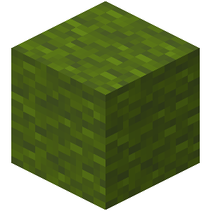 Laine verte Minecraft